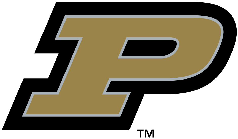 Purdue Boilermakers 1996-2002 Alternate Logo DIY iron on transfer (heat transfer)